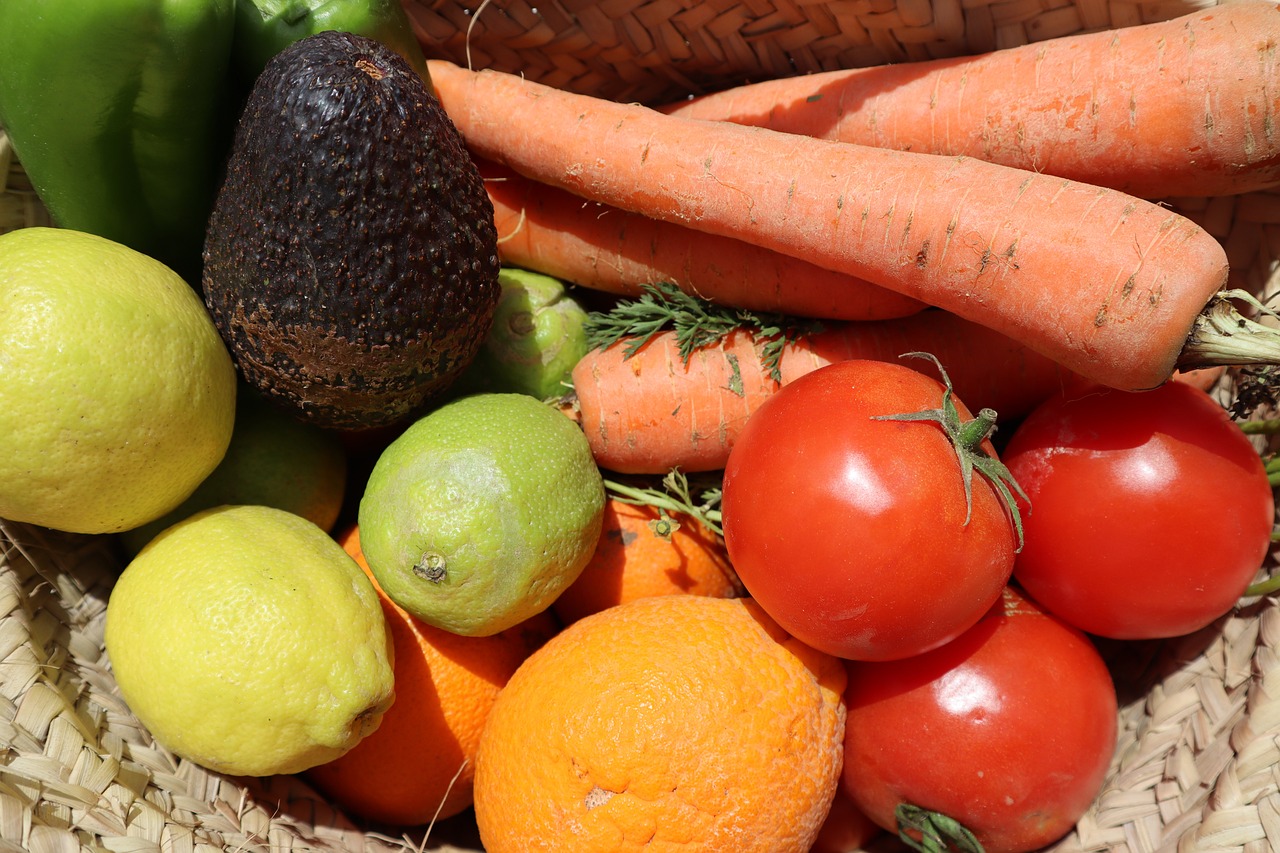 Sustainable Refrigeration Technologies for a Cooler Planet
